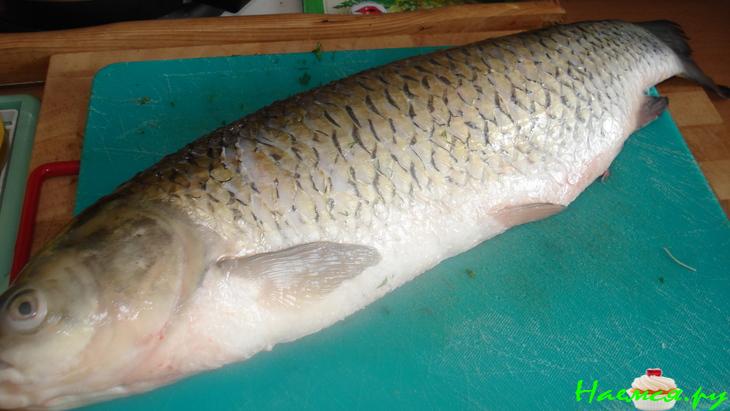 Рыбная консерва "Варна"