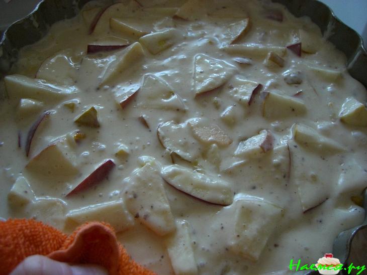 Шарлотка быстрая