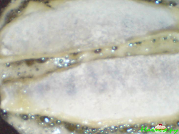 Судак под шафрано-креветочным соусом