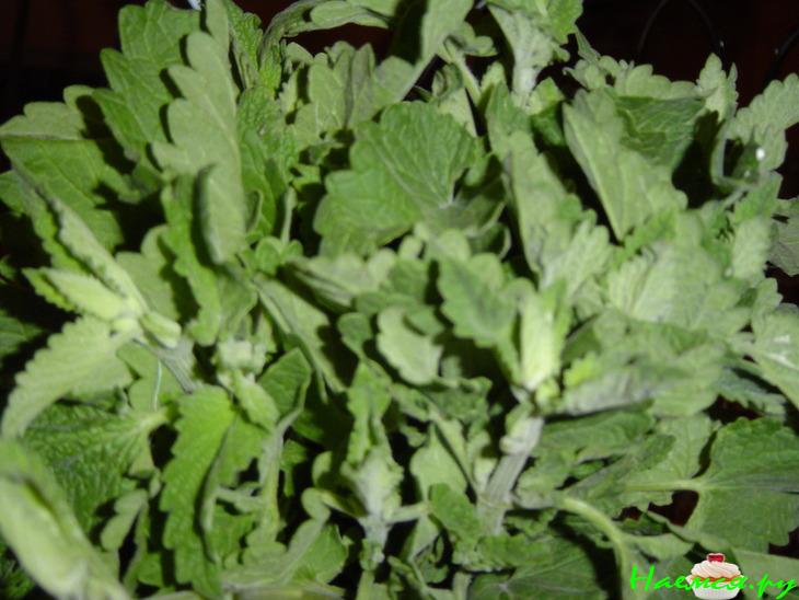 Корзиночки с клубникой