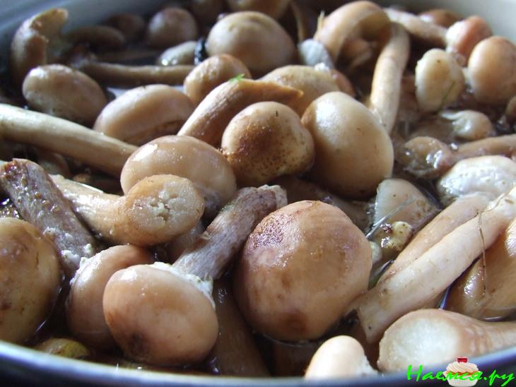 Опята жареные Опята жареные