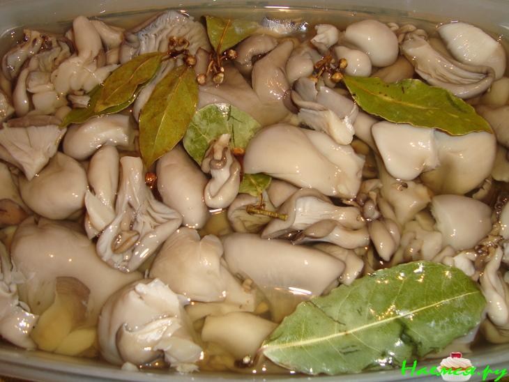 Маринованные вешенки Маринованные вешенки