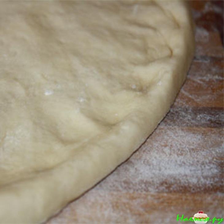 Быстрое тесто для пиццы Быстрое тесто для пиццы