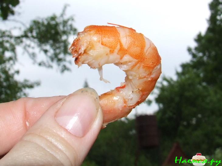 Креветки к пиву