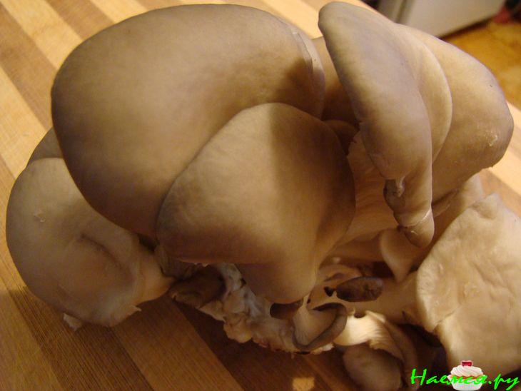 Борщ с грибами и фасолью