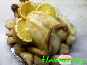 "Апельсиновая курочка" "Апельсиновая курочка"