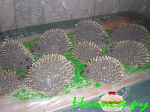 "Колючая семейка", но очень вкусная