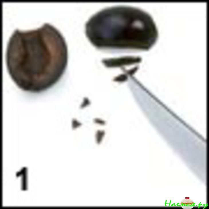 Арбузный бутербродик! Арбузный бутербродик!