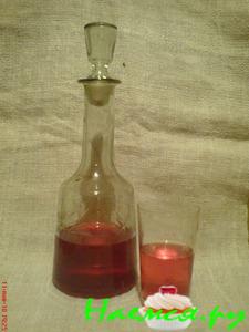 Сливянка классическая