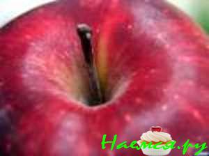 Коктейль с яблочным соком