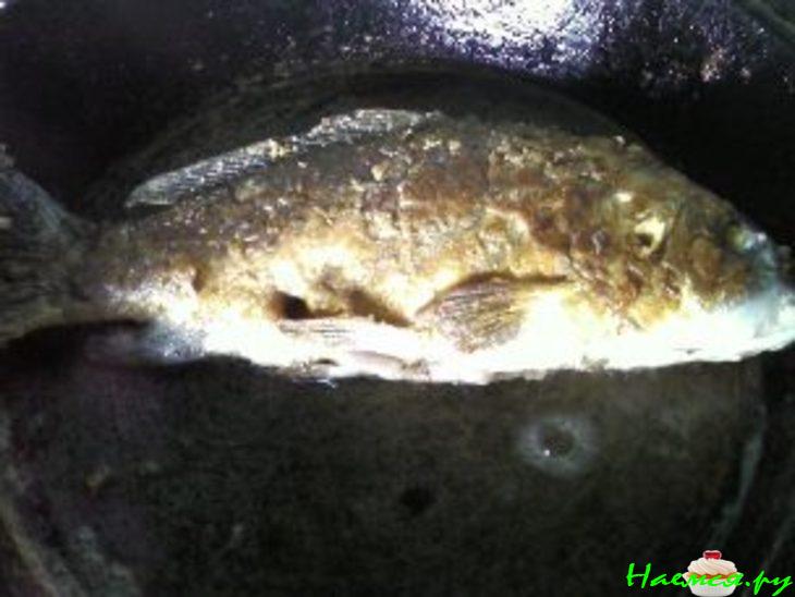 Карп в клюквенно-грибном соусе