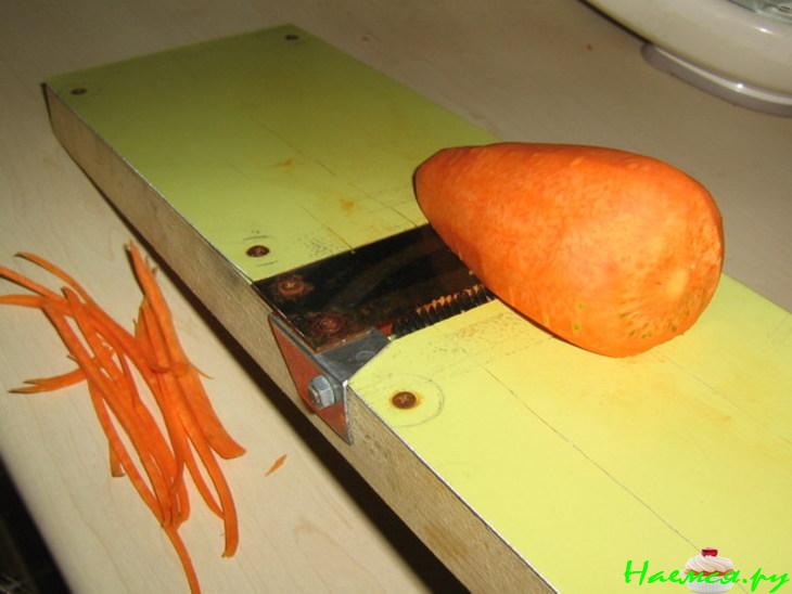 Морковча домашняя