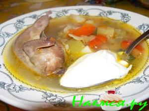 Перепелиный суп