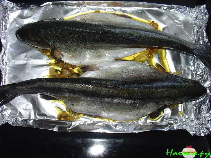 Радужная форель на луковой "грядке"