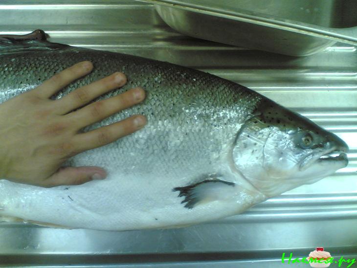 Лосось припущенный по-итальянски