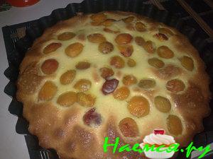 Пирог абрикосовый