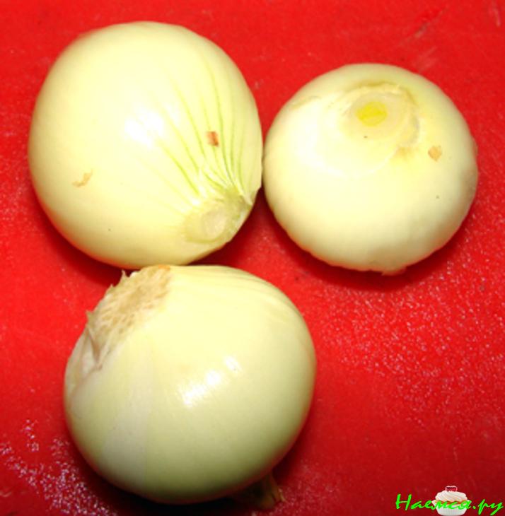 "В синем море"