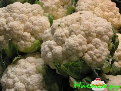 Капуста цветная жареная