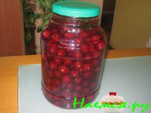 Вишневая' водка или 'Готовь сани летом