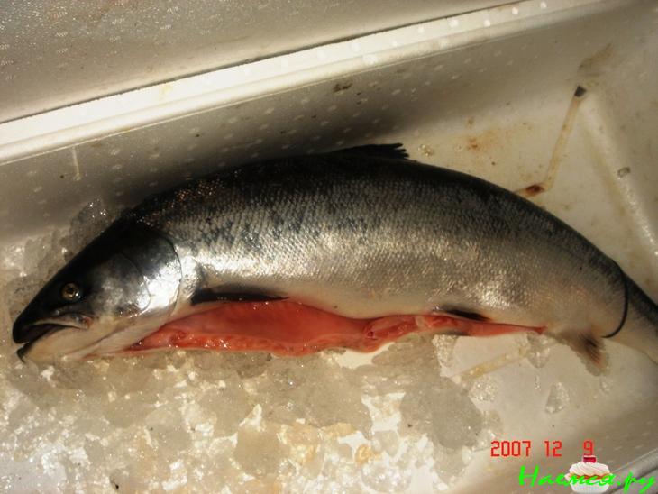 Уха (упрощенный вариант) Уха (упрощенный вариант)