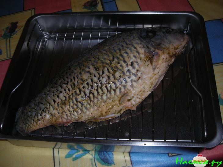 Карп запечённый Карп запечённый