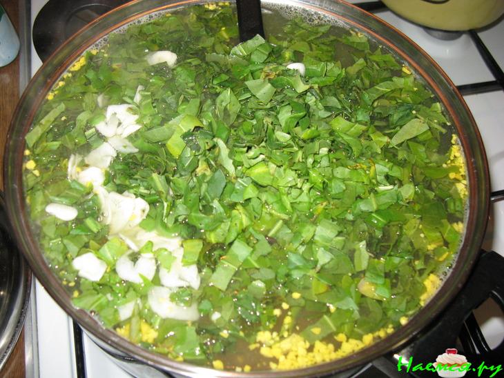 Зелёный борщ или весенний супчик