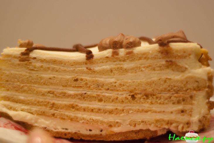 Торт "Вини Пух" со сметанным кремом Торт "Вини Пух" со сметанным кремом