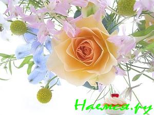 Коктейли для вас, любимых