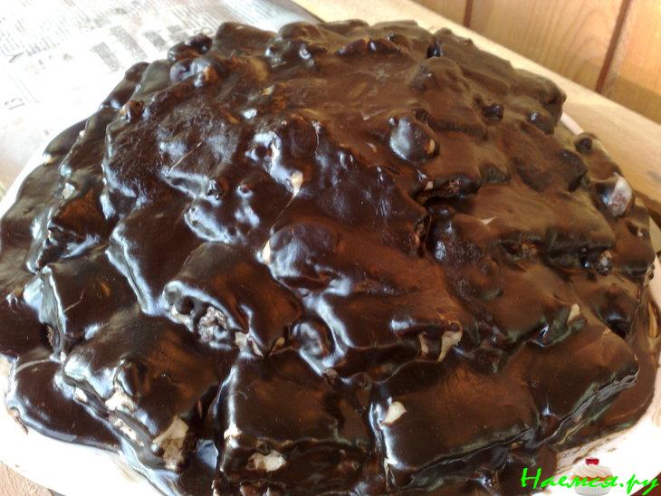 Панчо 'Кучерявый' Панчо 'Кучерявый'