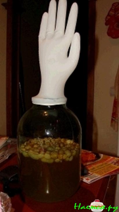 Домашнее вино Домашнее вино