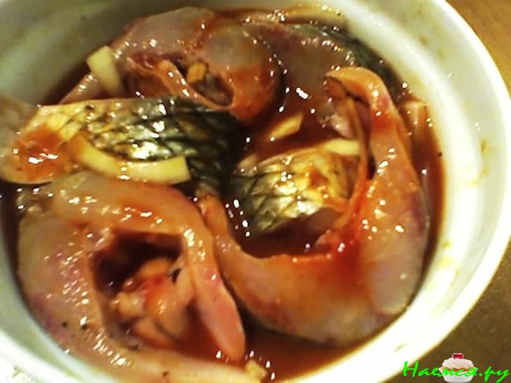 Рыбка на завтрак Рыбка на завтрак