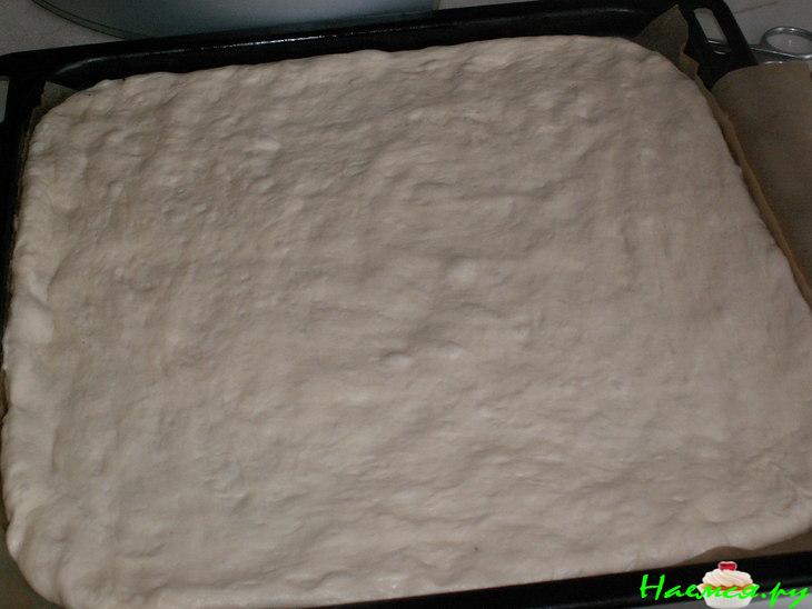 Фокачча со свежими томатами Фокачча со свежими томатами