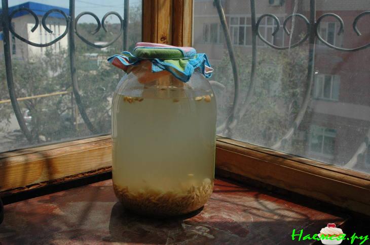 Квас овсяной