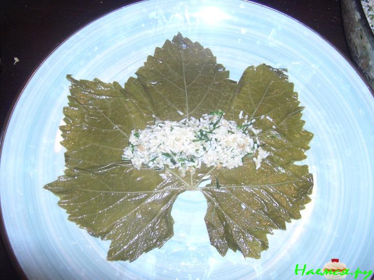 Махши или долма