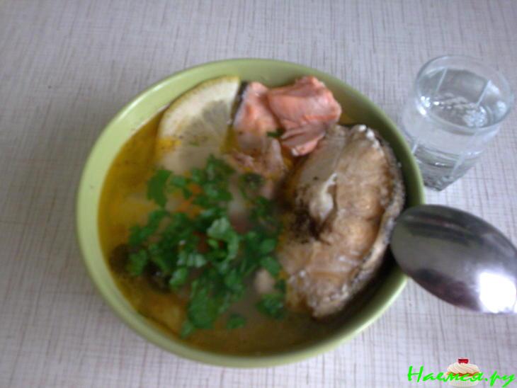 Рыбный супешник