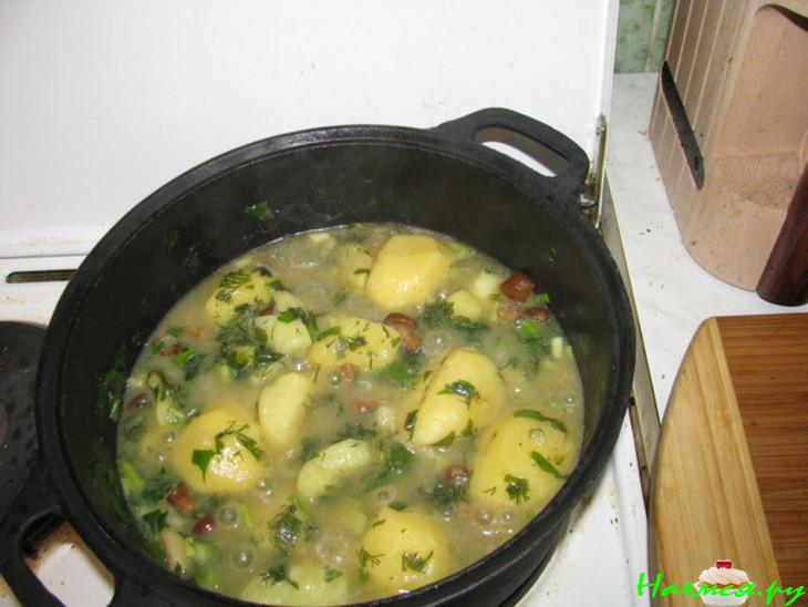 Фантазии грибника