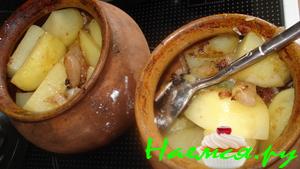 Картофель "Рабоче-крестьянский" Картофель "Рабоче-крестьянский"