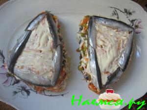 Хамса в шубке Хамса в шубке