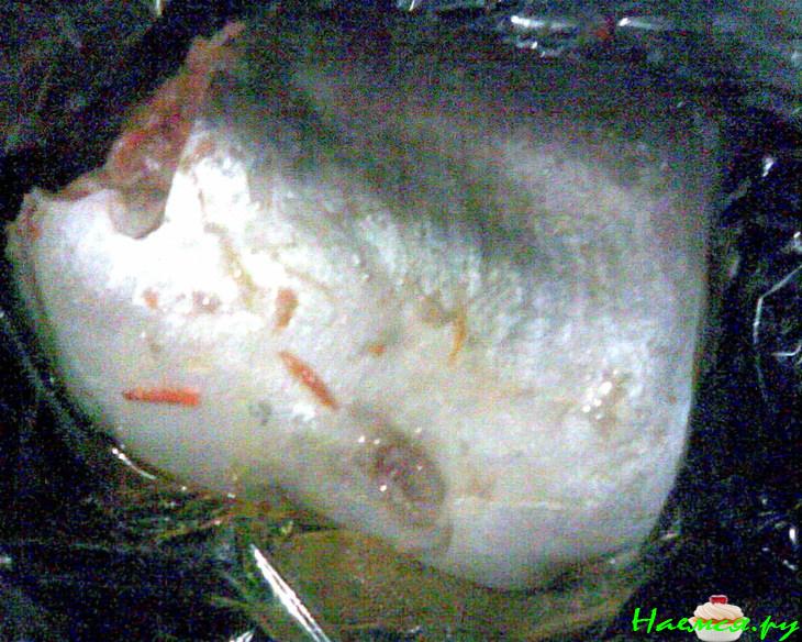 Пангасиус с начинкой