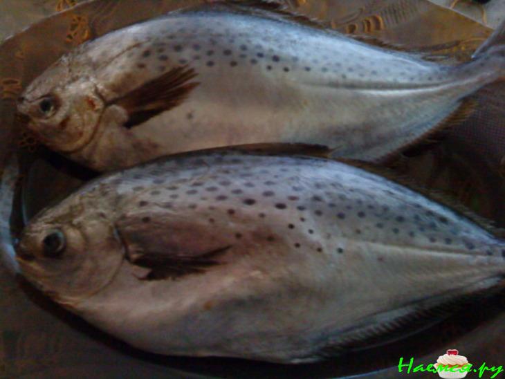 Масляная рыба маринованная