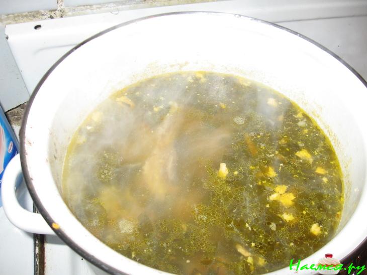 Щи "Щавель и шпинат" Щи "Щавель и шпинат"