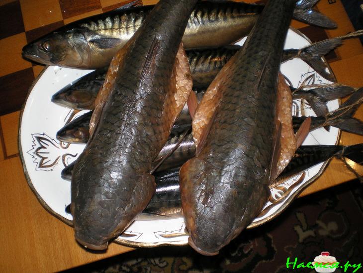 Скумбрия холодного копчения Скумбрия холодного копчения
