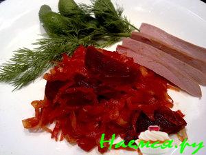 Солянка (дачная)