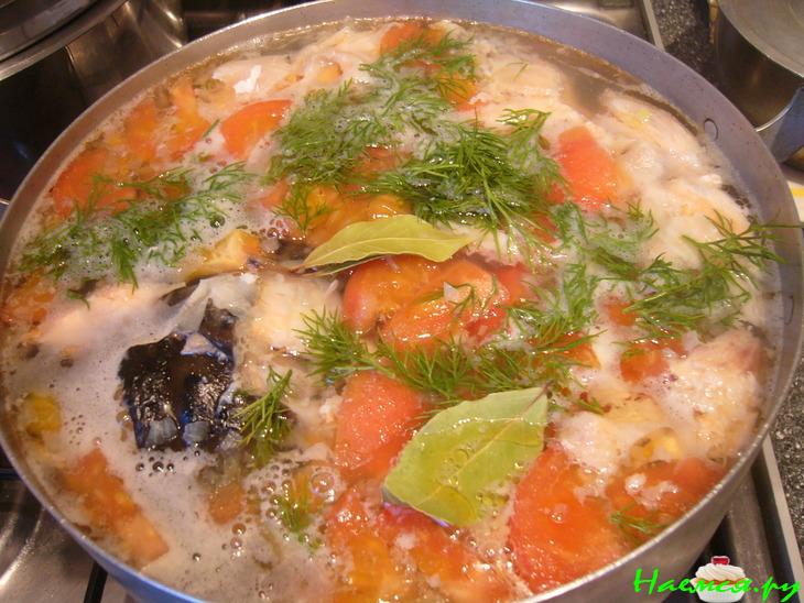 Уха из семги&nbsp; 