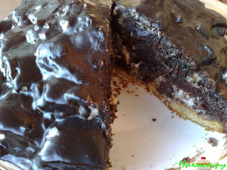 Панчо 'Кучерявый' Панчо 'Кучерявый'