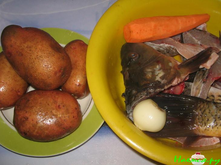 Cуп рыбный (карп) Cуп рыбный (карп)