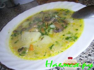 Суп грибной с плавленным сыром Суп грибной с плавленным сыром