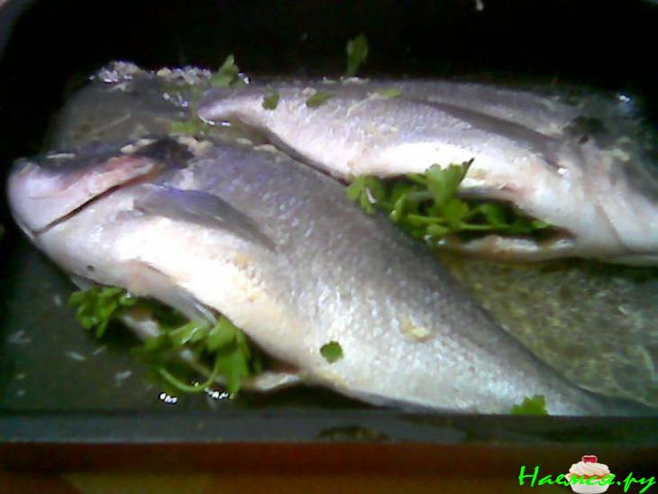 "Пьяная" рыба