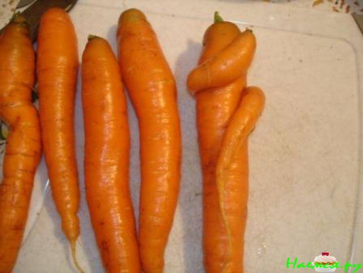 Овощное рагу