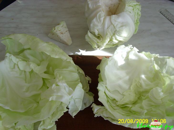 Капустный шницель в двойной панировке